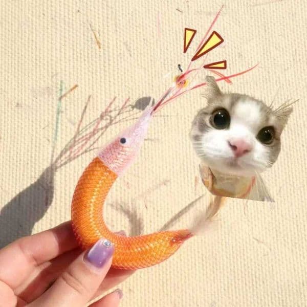 Cat Interactive Toy Bite Resistant Kitten Chew Toy for Teeth Cleaning Training Prawn Feather Bell Kitten Toy Cat Accessories X250913