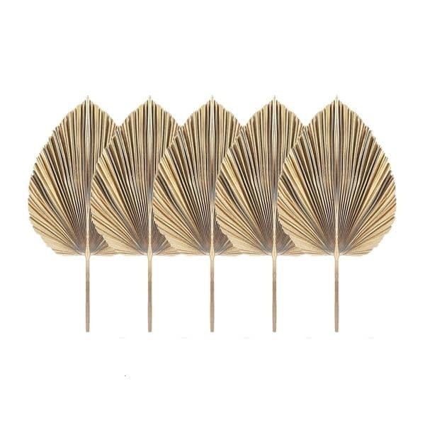 Decorative Objects Figurines 5Pcs Natural Dried Palm Leaves Tropical Fans Boho Dry Decor For Home Kitchen Wedding 230327bj
