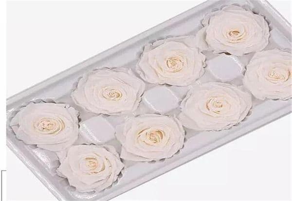 Roses Gift Box Eternaled Flower 8pcsbox Handmade Preserved Flowers Eternal Rose Present for her on Valentines Mother039s Day B6440926