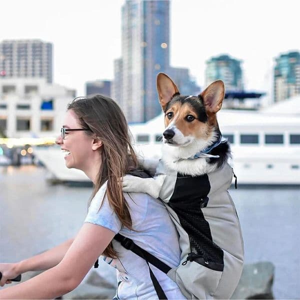 Strong Nylon Dog Backpack for Small Medium Dogs High Quality Breathable Cycling Backpack for Outdoor Travel Pet Supplies250922BJ