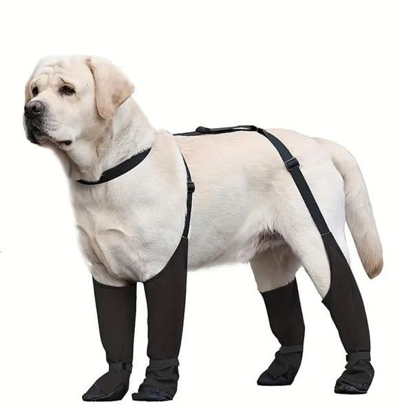 Pet Dog Shoes Waterproof Adjustable Dog Boots Rain Day Pet Breathbale Shoes For Outdoor Walking Soft French Bulldog Paws Protec 250322