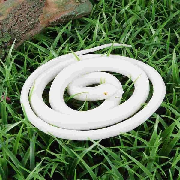 Fake snake toy simulated snake realistic snake prank prop role-playing prop childrens magic game white 241016bj
