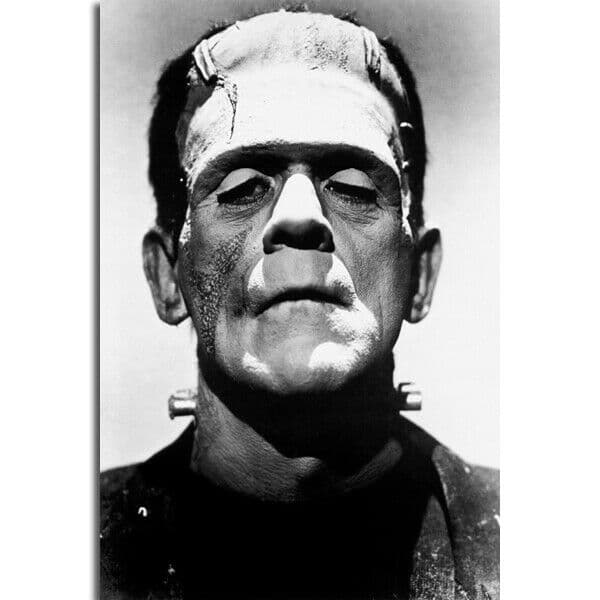 Frankenstein 1931 Classic Horror Movie 2 Silk Fabric Wall Poster Art Decor Sticker Bright