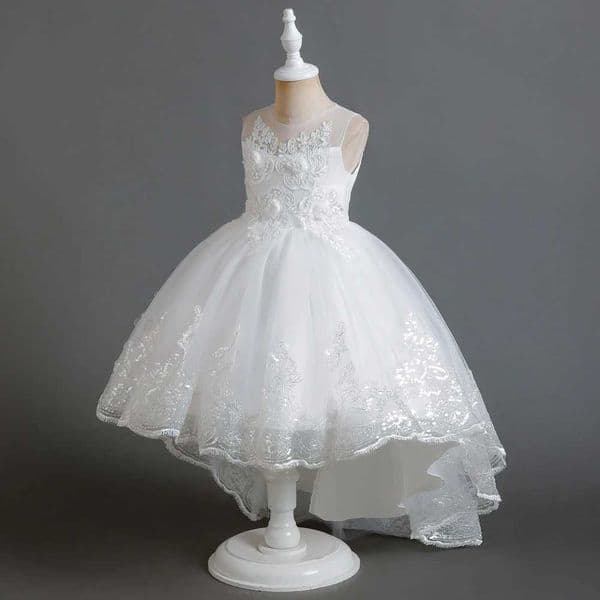 Autumn New Childrens Dress Princess Dress Wedding Bridesmaid Wedding Dress Fluffy Dress Lace Trail Embroidered Childrens WearXJ250108