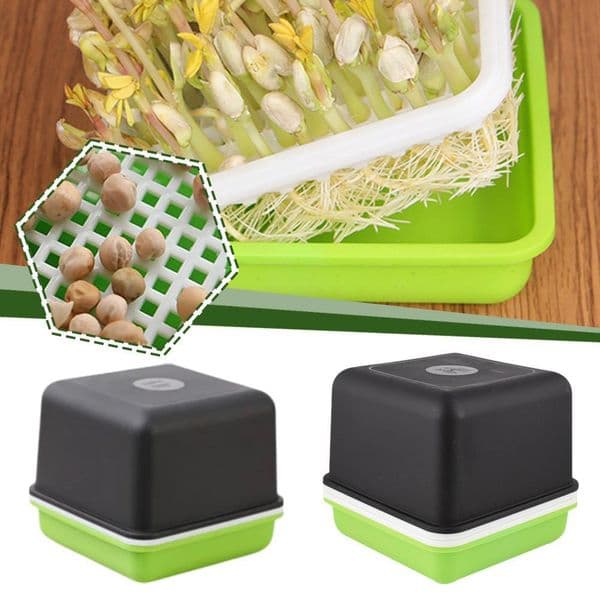 Home Garden Hydroponic Peanut Sprout Box Bean Pea Wheat Seedling Sprouter Tray Cat Grass Grow Germination Soilless Planting Pot