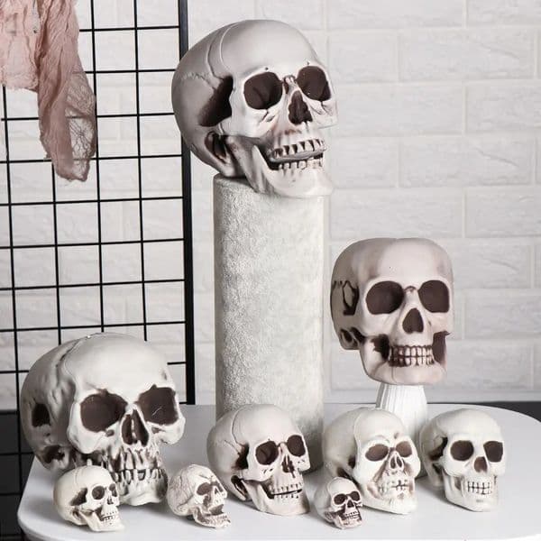 Plastic Skull Head All Size istic Skull Skeleton Head for Halloween Party Home Garden Lawn Decor Haunted House Horror Props 250805