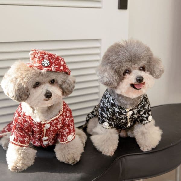Floral Dog Jacket Matching Straw Hat Set Chic Poodle Outfit for Spring & Summer Daytime Strolling