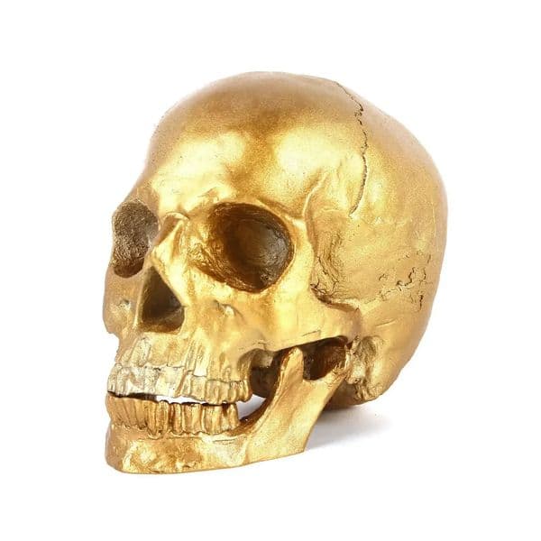 1 1 Handmade Resin Gold Skull Head Collectible Skeleton Decoration Figurine Halloween Skull Statue Halloween Home Decor Ornament 250805BJ