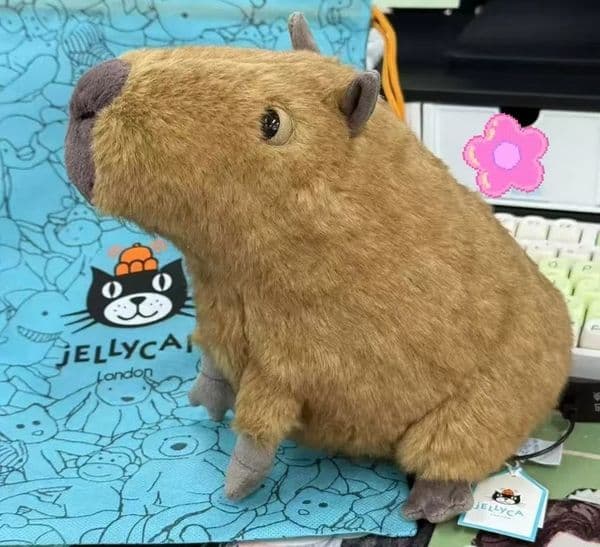 Dolls jellys cat Clyde Capybara Plush Children's plush toys Kapibala Soft Toy Dolphin body pillow Cute Soothing Doll GiftsJelly Cat
