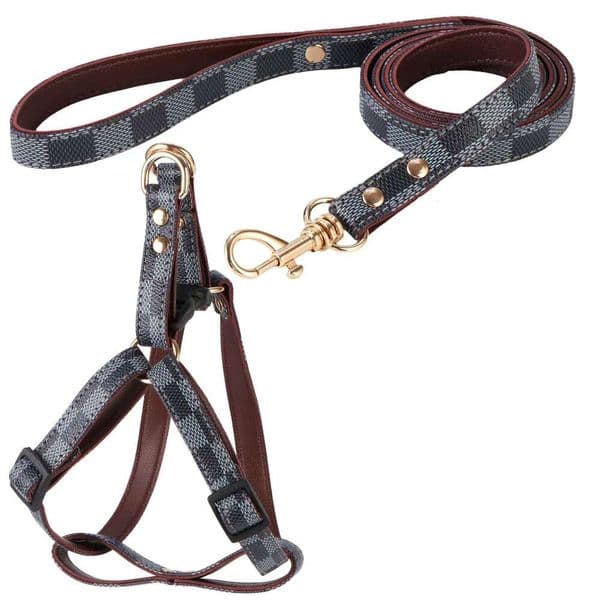 2026 New Pet perfume Leashes Designer Dog Coller Set Vintage PU Leather Trendy Adjustable Cute cologne Pets Cat Collars Leash Dogs Outfit For Outdoor Activiti