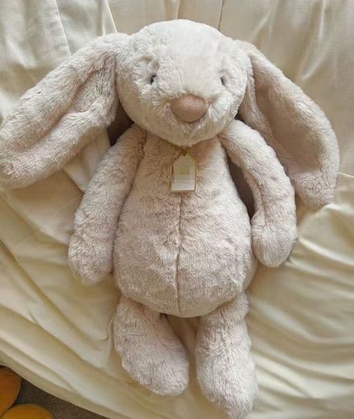 luxury puppy bonnie rabbit Replica Birthday la bubu doll Stuffed Animals Jellys Cat gifts Cotton Charming Plush Jelly's Kitty Cozy Fuzzy Friend for
