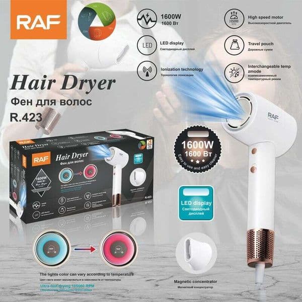 RAF European Standard Intelligent Temperature Control Household High-Power High-Speed Dryer, Quick Drying Hair Care