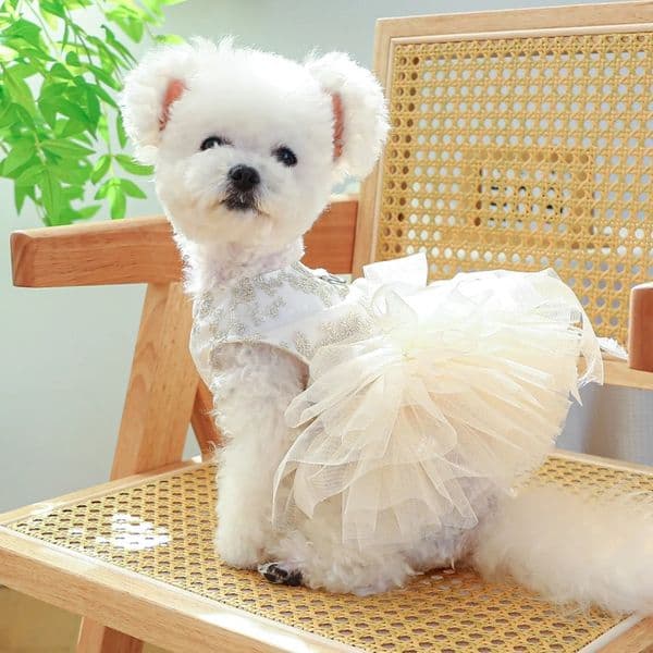 2025 new Dog Spring/Summer Breathable White Wedding Princess Dress with Pulling Cord Button for Small Medium Dogs