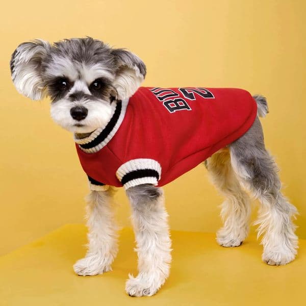 College Style Pet Dog Sweater Winter Warm Clothes for Small Medium Dogs Puppy Cat Vest Chihuahua French Bulldog Yorkie Coat 250814BJ