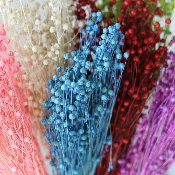 40-50g Dried Rich Beans Flowers Real Natural Hamdmade DIY Floral Materials Dried Flower Bouquet Perfect for Weddings Party Table Home Decorations Vase Filler