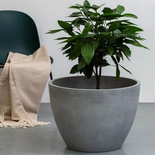 Contemporary Concrete Planters - Stylish Outdoor Garden Containers