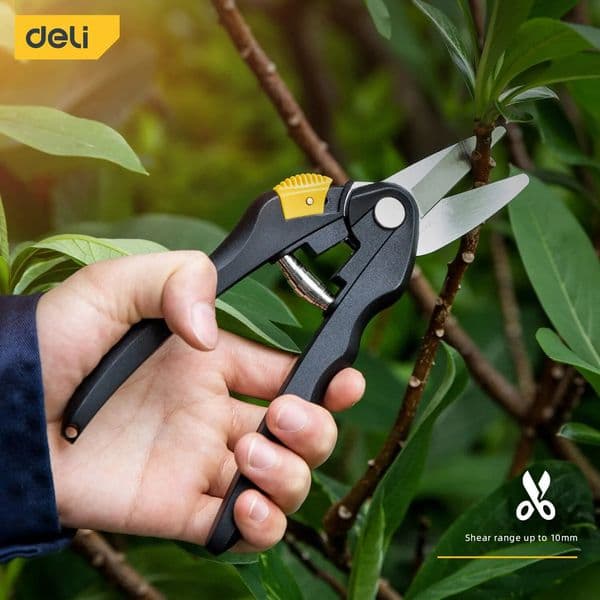 Deli 8 Inch Garden Pruner Shears Blade Pruning Scissors for Bonsai Fruit Trees Flowers Branches Garden Pruners 250228BJ