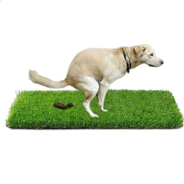 Artificial Grass Dog Toilet Puppy Cat Training Lawn Mat Pet Lawn Kitten Puppy Pee Grass Pad Kid Crawling Mat Dog Accessories