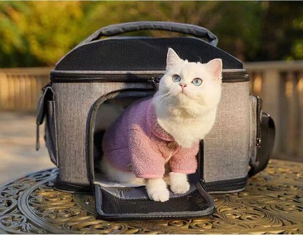 2026 New Winter Pet Carrier Bag Multi-use Crossbody Backpack Portable Outdoor Travel Cage Breathable Lightweight Carrying Supplies For Cats Small Dogs
