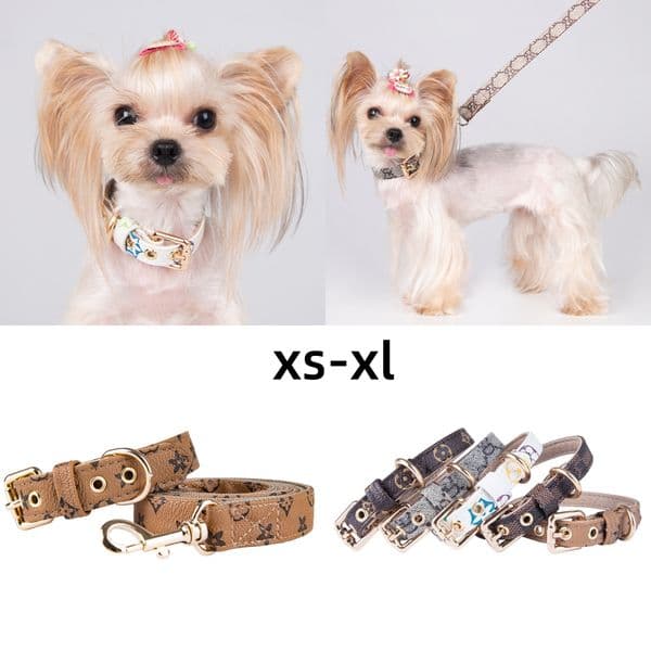 1 set (2 pcs )Dog Collars Leash Classic Presbya Designer Letters Pattern Print Leashes PU Leather Fashion Casual Adjustable Dogs Cats Neck Strap Pet Collar Poodle 0313