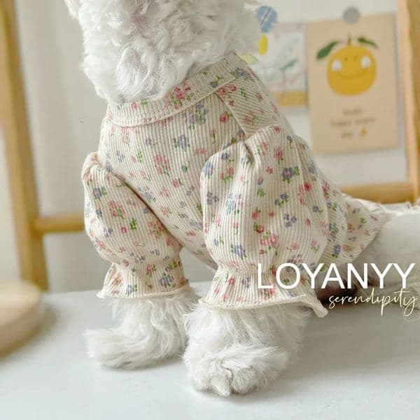 Puff sleeves floral prints spring and summer dog T-shirts cute little dogs wearing princess shirts in summer 250318