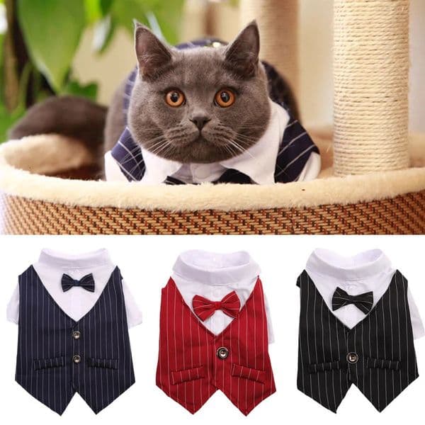 Cute cat and dog party set solid color fashionable pet jacket suitable for cats dogs weddings birthday costumes 250318
