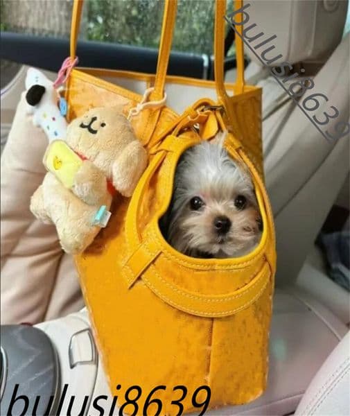 2025 New style High quality designer pet bag Canvas Waterproof dog bag Portable Cat bag Breathable adjustable pet tote bag 33.5*15*27cm