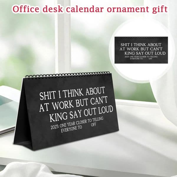Humorous Paper Calendar Home Decoration Enthusiasts Gift 250325BJ