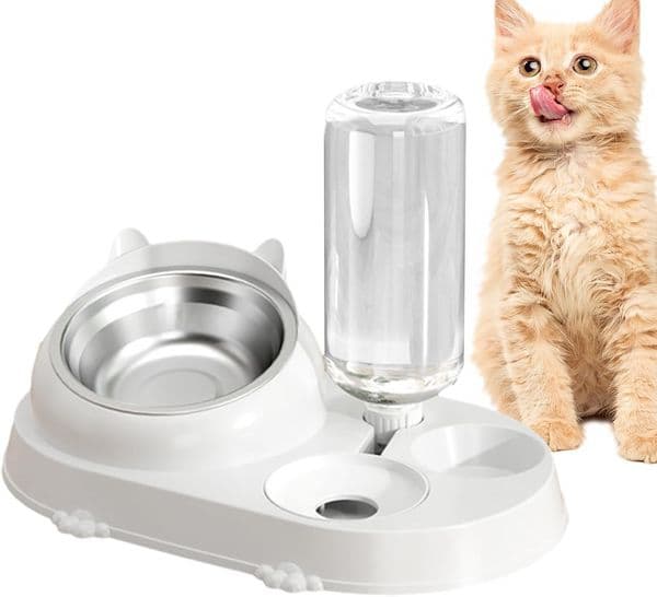 Automatic 16 Degrees Angle Cat Dish Water Dispenser Anti Splash Food Bowl Supplies for Pet Stores Living Rooms Veterinary Hospitals Acime