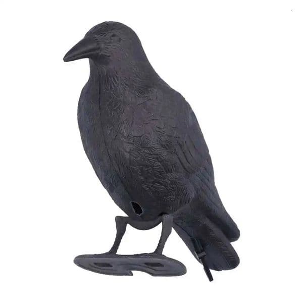 Decorative simulation of black crow bird pest control garden decoration for outdoor use 250321