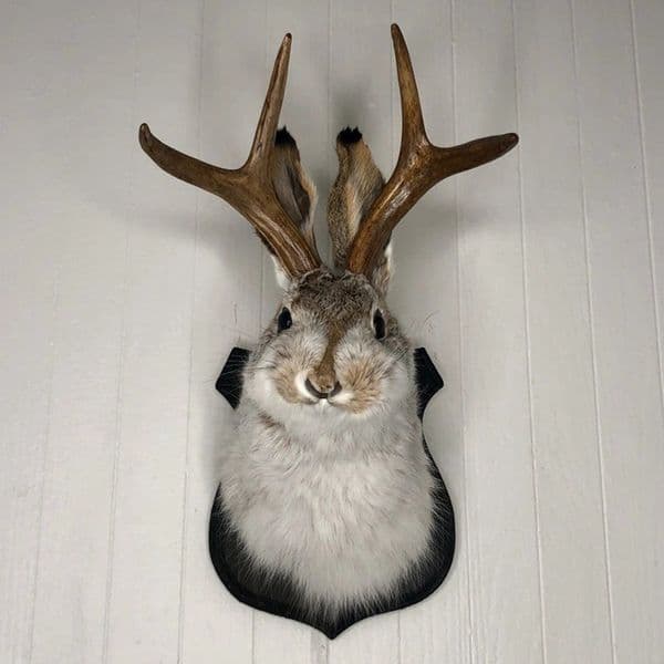 Easter Gift Bunny Head Antlers Wall Hanging Decoration Wall Decor Simulation Rabbit Specimen Resin Art Ornaments Jackalope Decor 250428