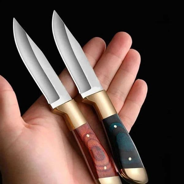 New Sharp Fruit Knife Outdoor Boning Knife EDC Portable Pocket Knife Lamb Chop Knife BBQ Knife Survival Knife Cutting KnifeXJ250510