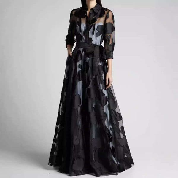 Elegant Sleeve Half Transparent Long Dress