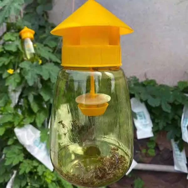 Fruit Fly Trap Killer Yellow Plastic Drosophila Anti killer Catcher Orchard Insect Pest Control Products 250522