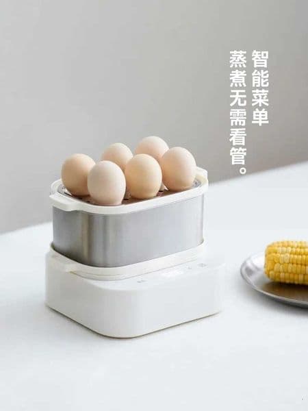 220V olayks stainless steel egg cooker mini steamer for home breakfast quick cooking AM M251206