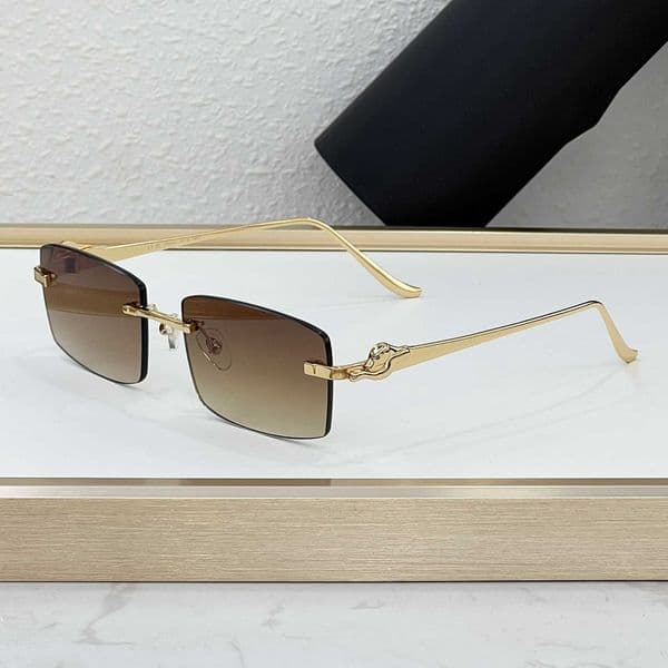 Classics designer CT sunglasses top quality 2025 Leopard Vacation Fashion Square Light Luxury Trendy Unisex Sunglasses Outdoor Street Shooting