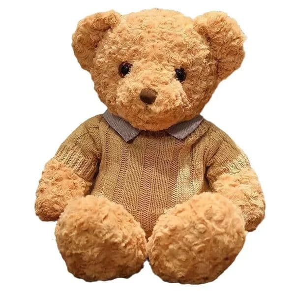 Brown bear toy Princess plush doll A bear in a sweater A girls birthday present Boys couch pillow bear doll 30cm and 40cm251209BJ
