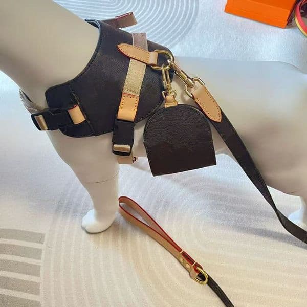 2026 New Designer Harness Leash Bags Holder Pull Pet Vest No Choke Adjustable Easy Walking And Training For Small cologne Medium Dogs Luxury Dog Birthday perf