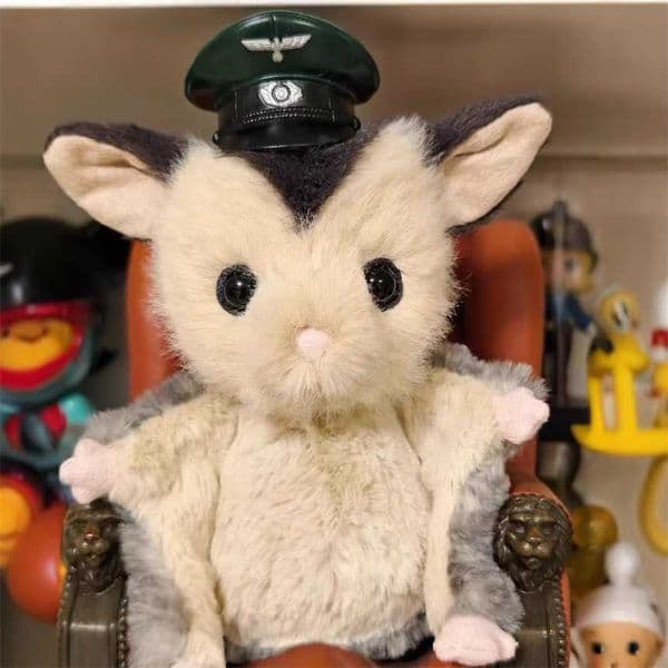 Jellys Cat British Jellys Cat Loli Honey Flying Squirrel Plush Toy 2026 Summer New Gift online