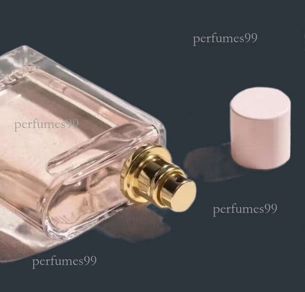 perfume cologne parfum perfumes women Charming Eau De 100ml Her EDP Floral Fruity Fragrance Girls pink perfume Lady Girl Elixir Parfum High Quality Cologne Spray