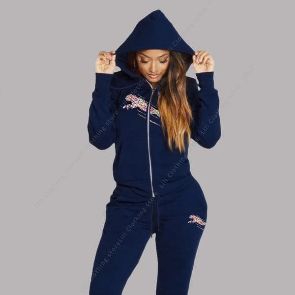 Womens Track Suit Aesthetic Hoodies Sweatshirts Sweatpants 2 Piece Set Zipper Cardigan High quality Sportwear Woman Pants Sets 251215BANJIA