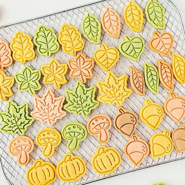 Thanksgiving Autumn Series Pumpkin Mushroom Palm Fruit Leaf Cookie Cutters DIY Baking Molds