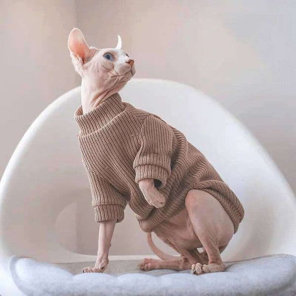 Autumn winter casual simple solid color pullover sweater for small and medium-sized dogs warm cat two-legged pet dog clo 25H1222