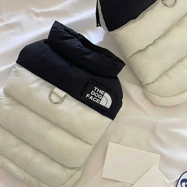 Pet Warm Cotton Coat Two-legged Dog Clothes Thickened Teddy Down Jacket Small to Medium Dog Cute Winter Clothing Z251223