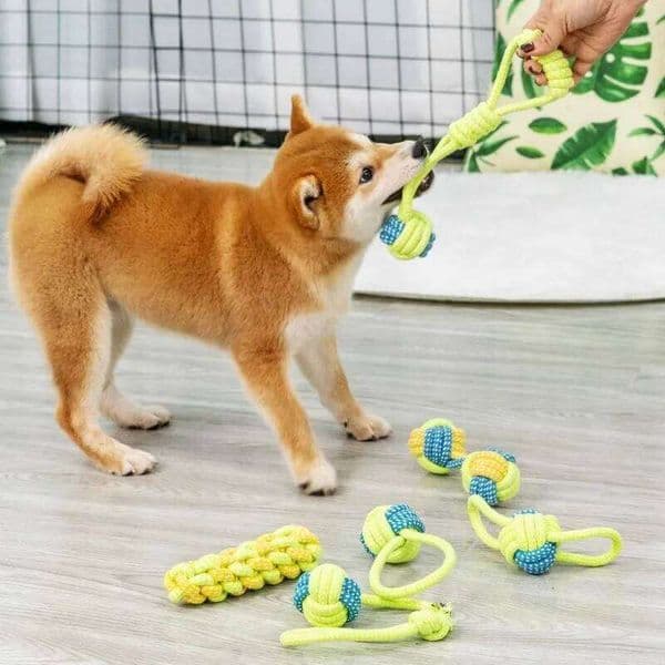 Joint Big Games Small Pet Toys Chewing for Puppies Interactive Resistant Dog Toy GWJ08 25N1226