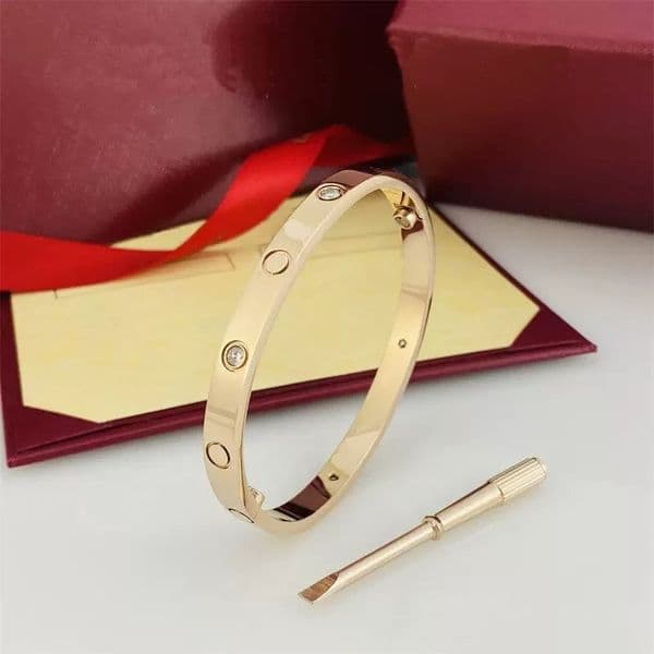 Luxuriou Designer Bracelet Women Men Jewelry Cuff Charm Bracelets Stainless Steel Gold Silver Classic Permanent Double Lock Buckle Couples Carter Bracelet a63