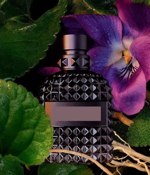 Free Delivery To The United States Within 3-7 Days. The Elegant Cologne 100ml Floral Perfume for Ladies Is Dispatched Quickly