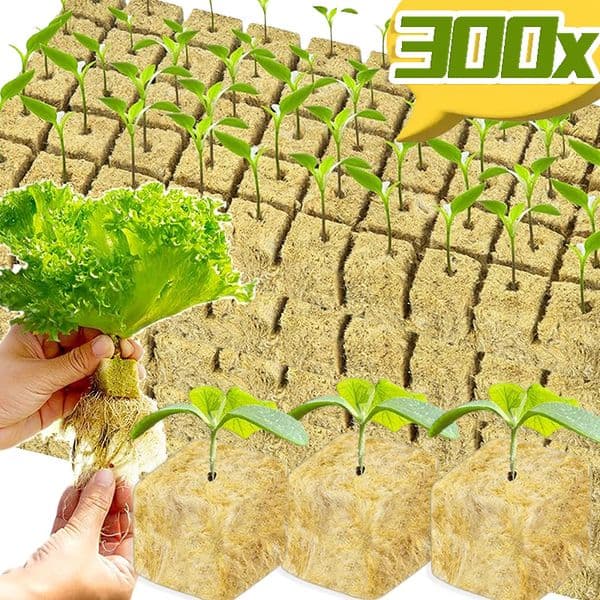 Stonewool Hydroponic Grow Media Cubes Plant Cubes Soilless Substrate Seeded Rock Wool Plug Garden Seedling Block Pots Wholesale