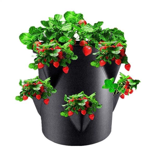 Potato Growing Bags Breathable 7 Gallon With 6 Side Grow Pocket Outdoor Grow Bags Strawberry Planting Pots Non-Woven Fabric