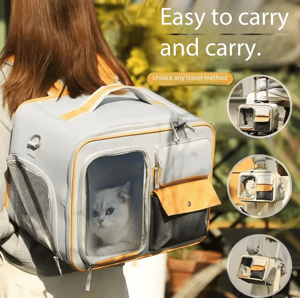 Pet rolling suitcase portable large capacity stress resistant cat and bag small dog luggage box outdoor pet backpack